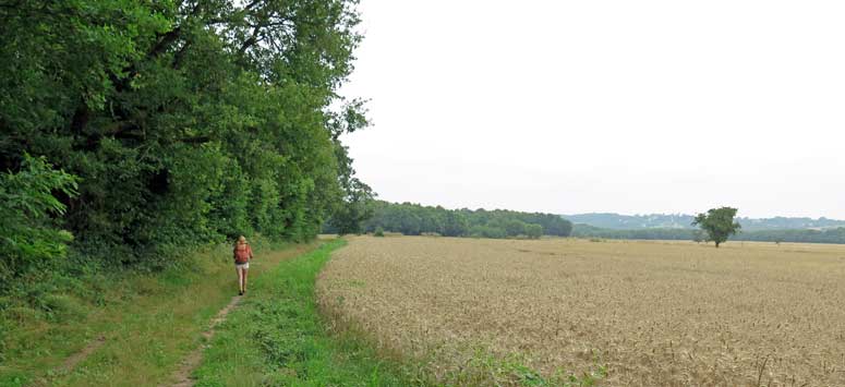 Walking in France: Skirting a wheatfield