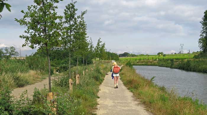 Walking in France: Part of the replanting program, Canal du Midi