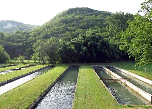 Walking in France: Blagour fish farm