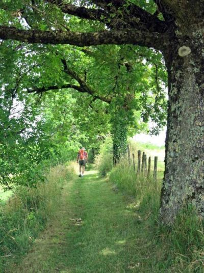 Walking in France: The newly mown lane