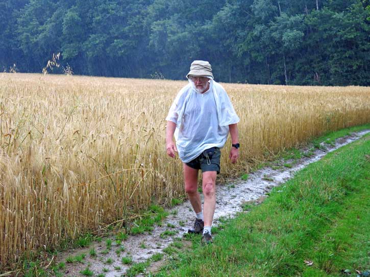 Walking in France: Why French crops do so well