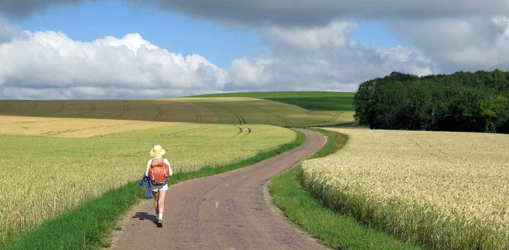 Walking in France: Fields of unripe wheat