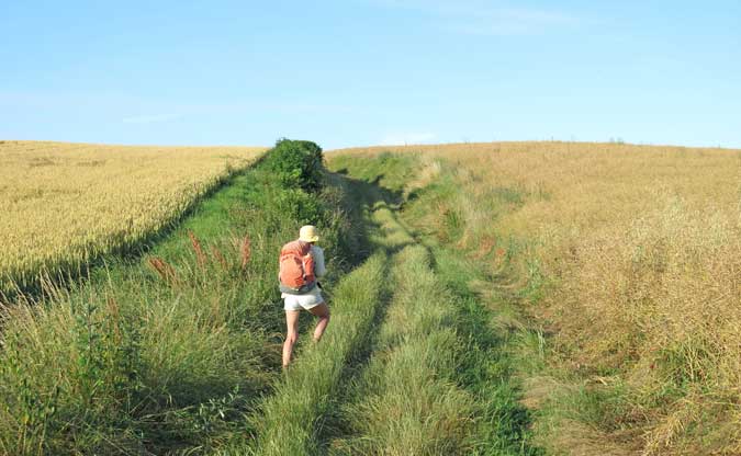 Walking in France: The walker's way to Chevannes