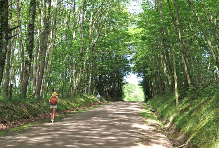 Walking in France: Some welcome shade on the way to Toucy