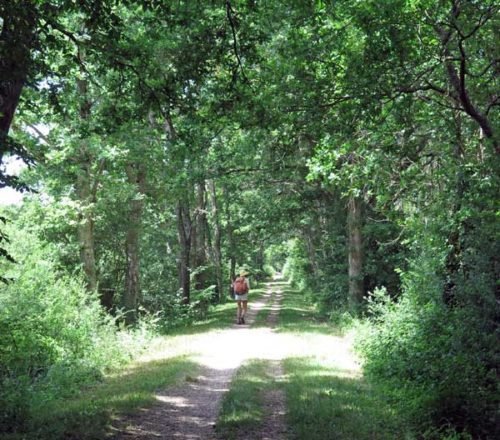 Walking in France: Almost at the Toucy camping ground