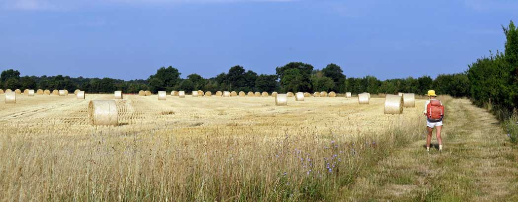 Walking in France: Newly harvested hay
