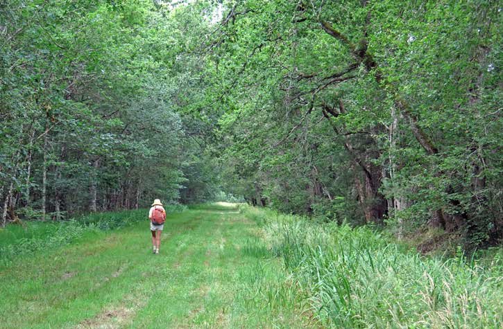 Walking in France: Le chemin communal, Neuvy-sur-Barangeon