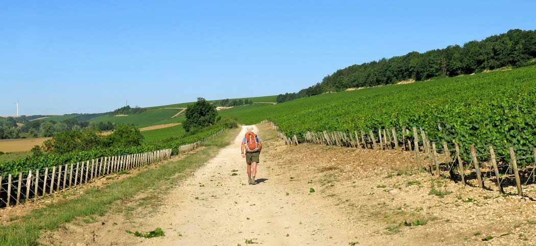 Walking in France: Looking for the GR654