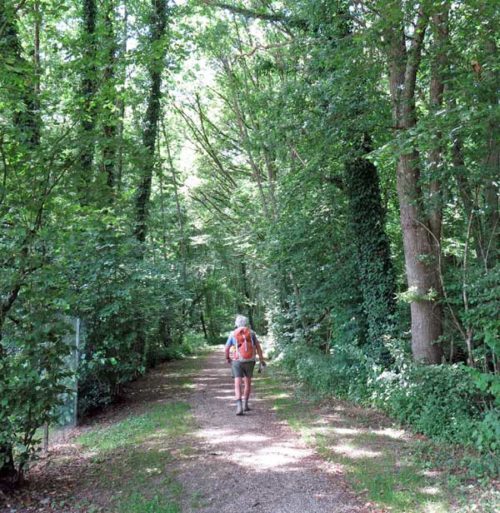 Walking in France: The start of the abandoned railway track into Toucy