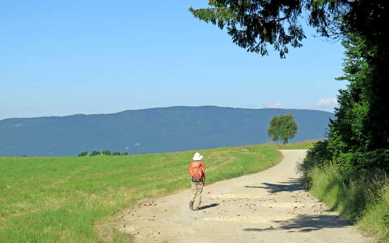 Walking in France: Jura mountains in the distance