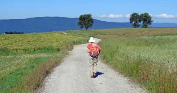 Walking in France: Near Neydens, with the Jura mountains in the distance