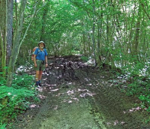 Walking in France: Heavy going near Mont Tournier