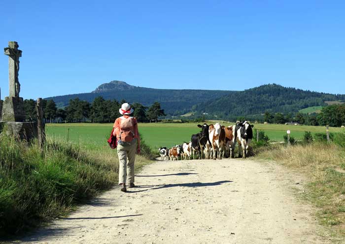 Walking in France: Meeting some contented locals