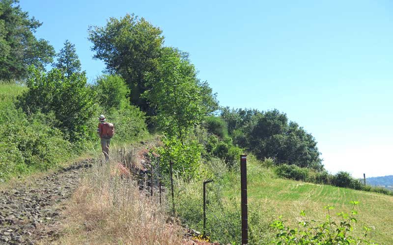 Walking in France: Near Rachat on the GR3