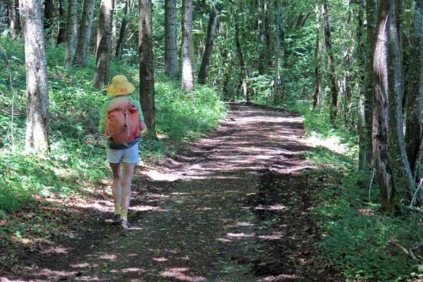 Walking in France: Near the Golet du Pey