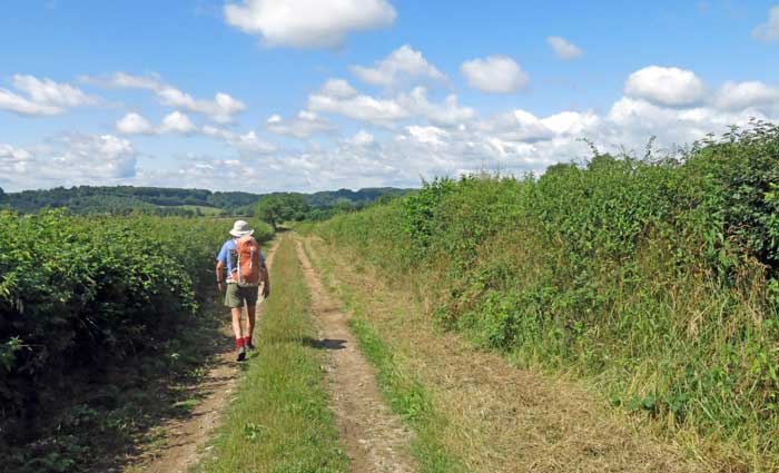 Walking in France: The Arnay to Autun Roman road