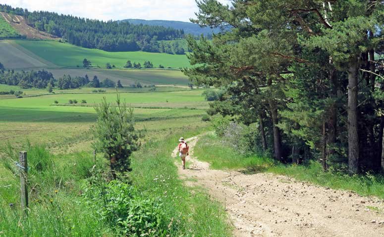 Walking in France: A stony track