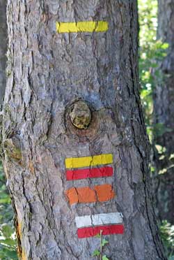 Walking in France: An abundance of route markers