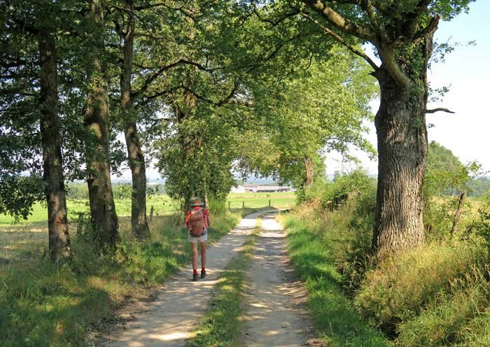 Walking in France: Near Puy-Guillaume