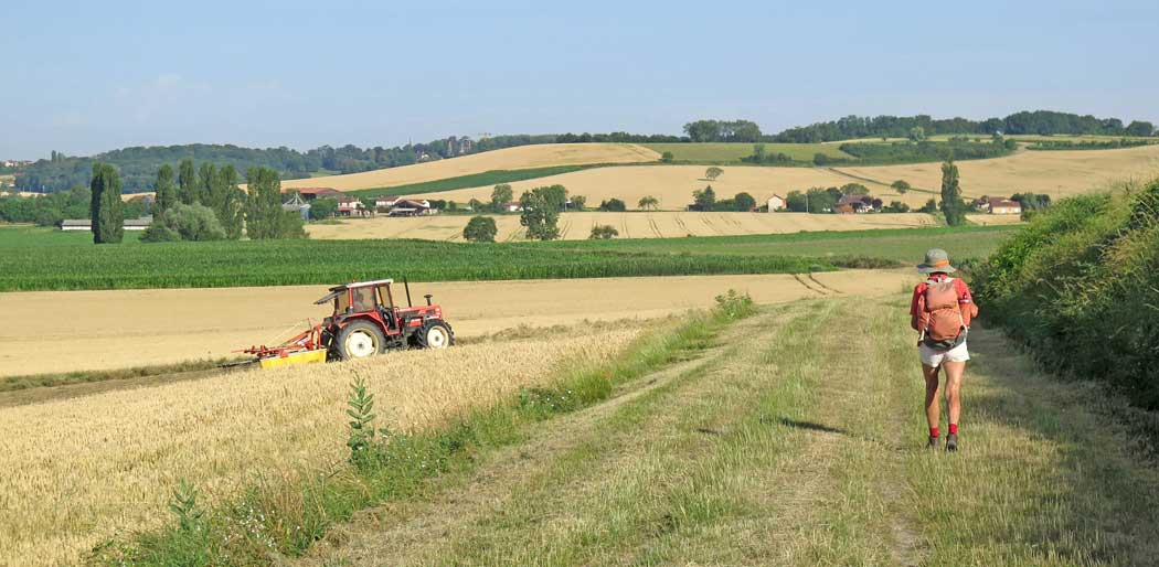 Walking in France: Harvesting wheat near Randan