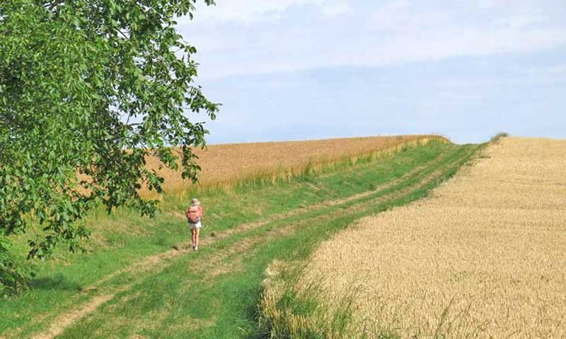 Walking in France: Close to Poëzat