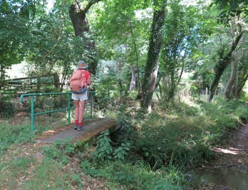 Walking in France: Crossing a tiny stream