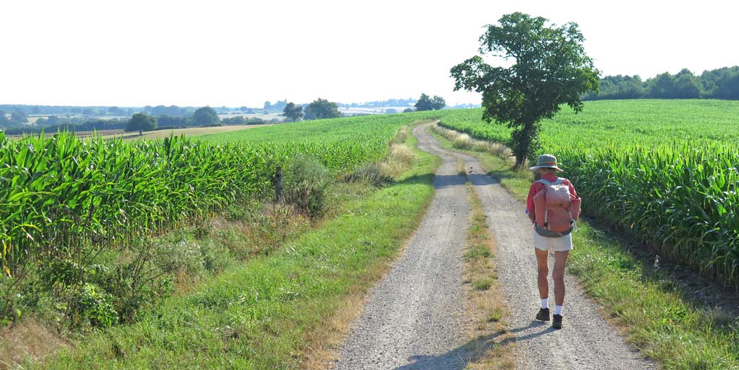 Walking in France: A gentle descent to Chantelle