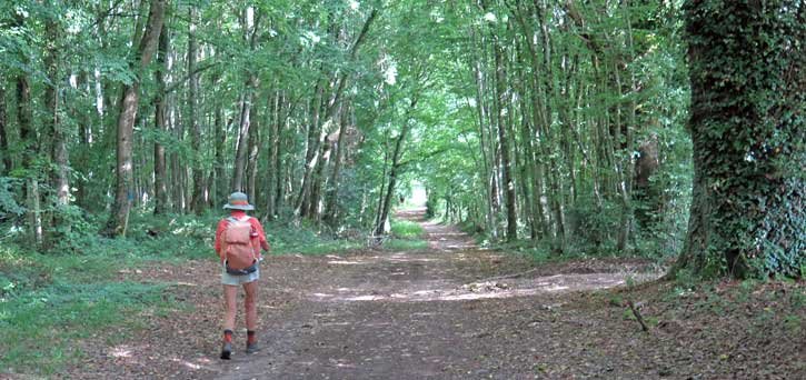 Walking in France: Finally, out in the country