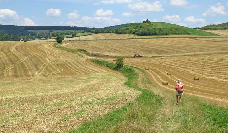 Walking in France: Just a few more kilometres to Châteauneuf-Val-de-Bargis