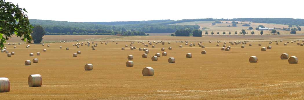 Walking in France: A field of hayrolls near Champlemy