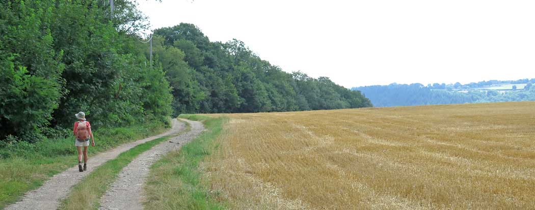 Walking in France: Close to Avallon