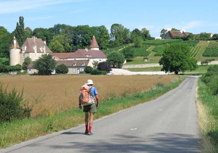 Walking in France: An immaculate vineyard and château