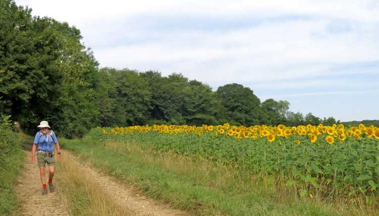 Walking in France: Descending to Champlemy