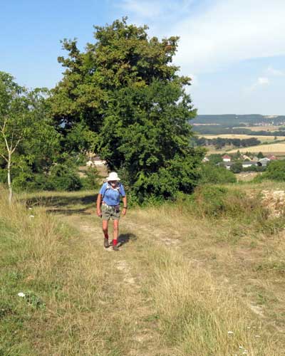 Walking in France: Top of the climb
