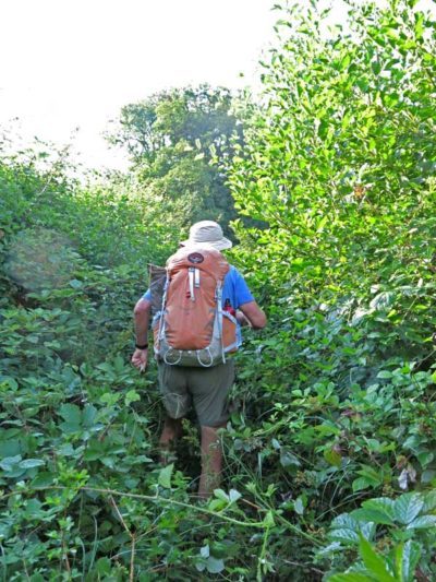 Walking in France: "This blackberry patch can't be that big"
