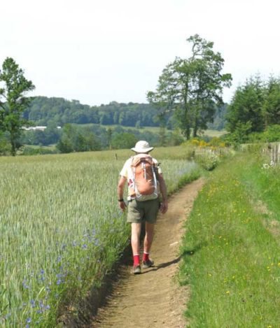 Walking in France: A path lined with cornflowers and wheat