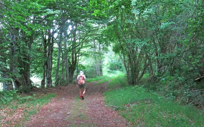 Walking in France: Bypassing the highway