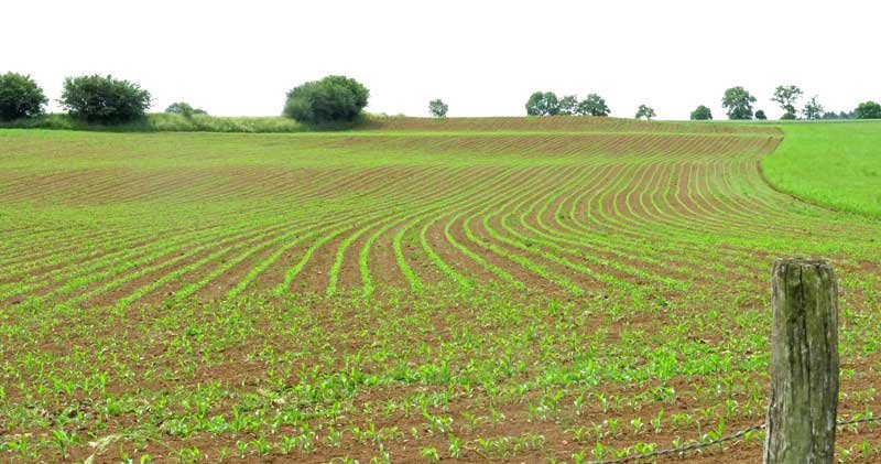 Walking in France: Farmland near Chaussenac