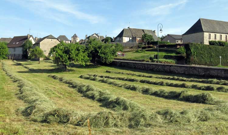 Walking in France: On the way to dinner, passing a tiny field of cut hay 