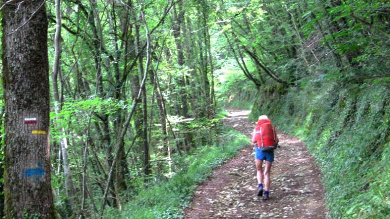 Maps and guides – Walking in France